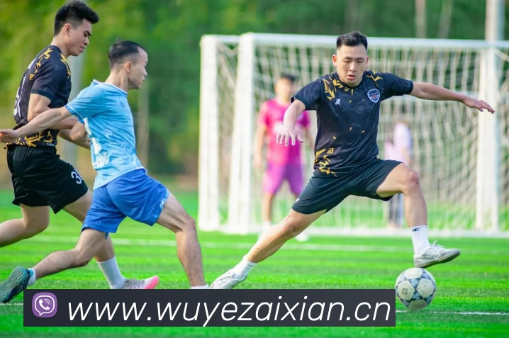 6686 - 幸运赛事尽在6686体育APP 高清赛事图